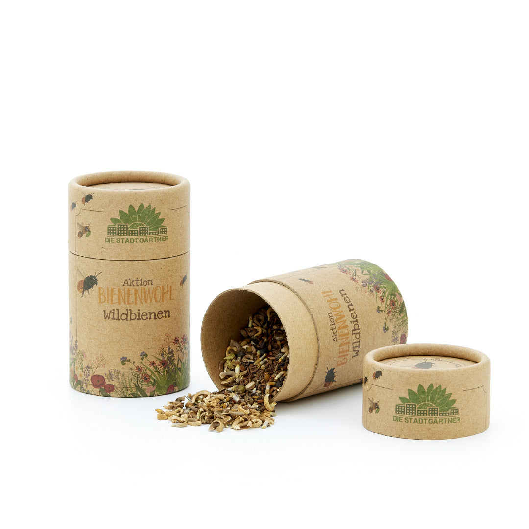 Wildbienenwiese – Saatgut-Mix für ca. 30m²