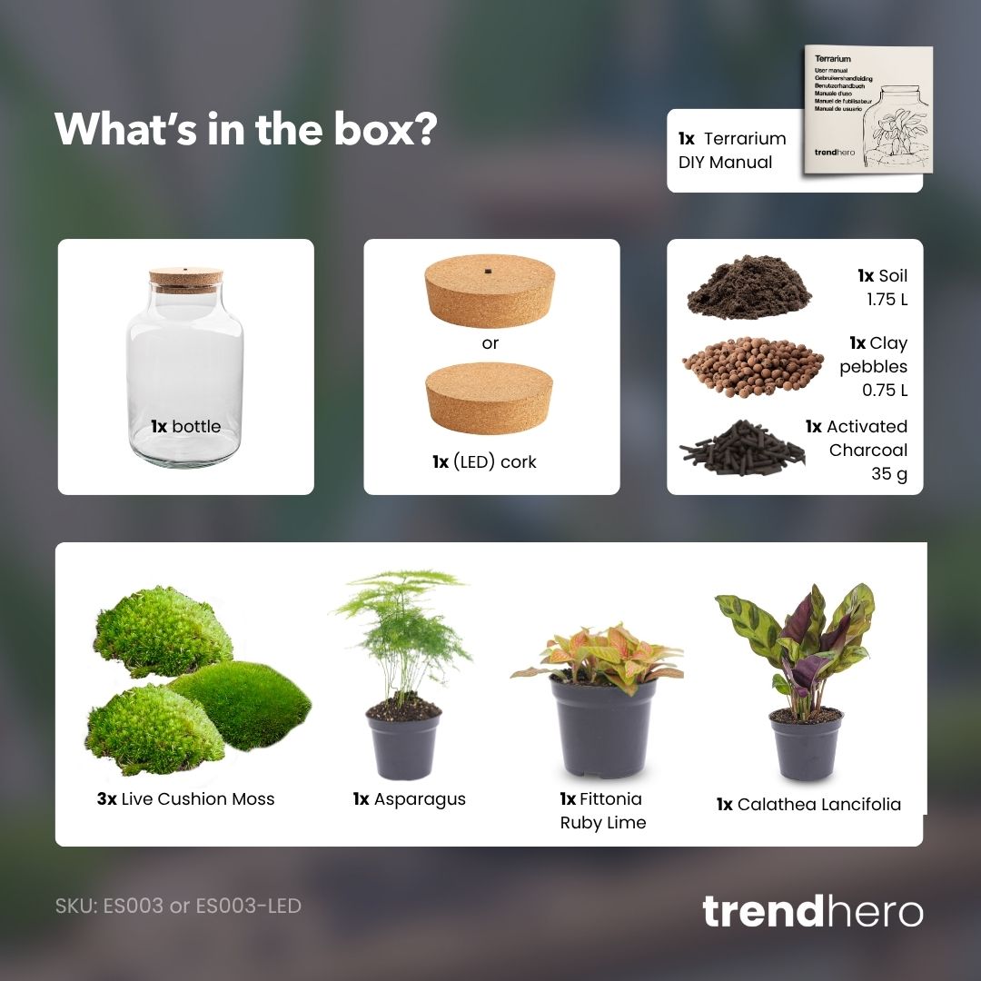 Milky - Terrarium - Bottle Garden Diy Kit - Ø 21 Cm ↑ 30 Cm