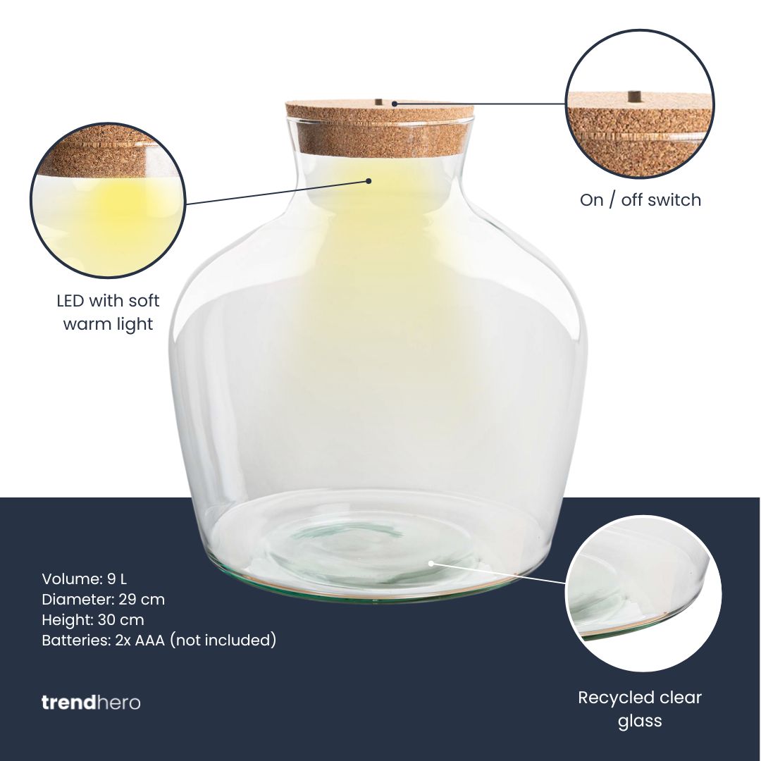 Holly Christmas Terrarium - Bottle Garden Diy Kit - Ø 29 Cm ↑ 30