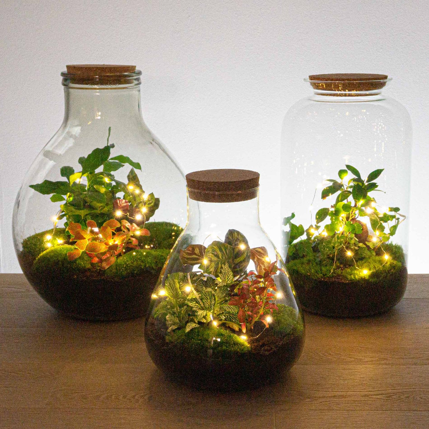 Battery-Operated String Lights - 1 Meter - Warm White - 20 Led Lights