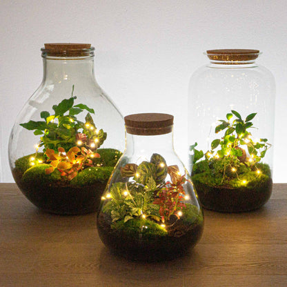 Battery-Operated String Lights - 1 Meter - Warm White - 20 Led Lights