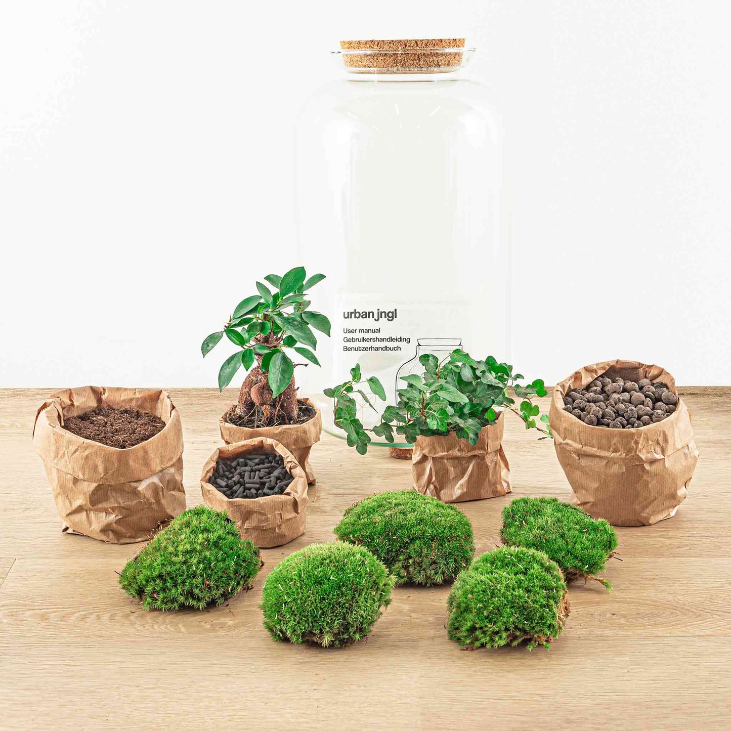 Terrarium Diy Kit - Sven Hedera Bonsai - Bottle Garden - ↑ 43 Cm