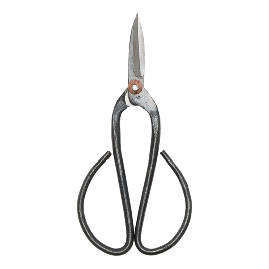 Bonsai Shears L - 19 Cm - Bonsai Tool