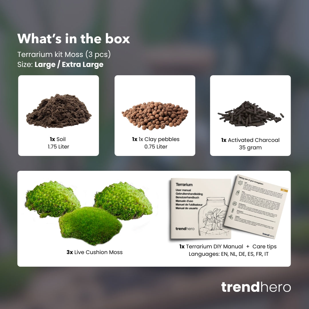 Terrarium Package  – Refill & Starter Package  – Diy Terrarium Kit – Size L/Xl