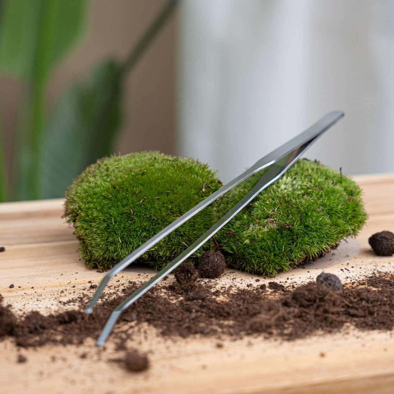 Extra Long Terrarium Tweezer - 26 Cm - Stainless Steel