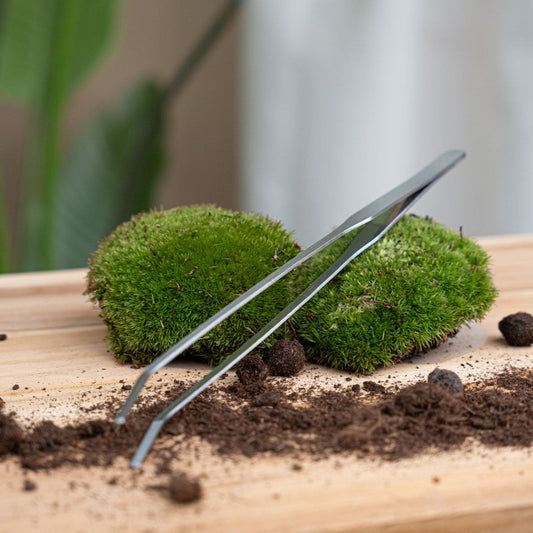 Extra Long Terrarium Tweezer - 26 Cm - Stainless Steel