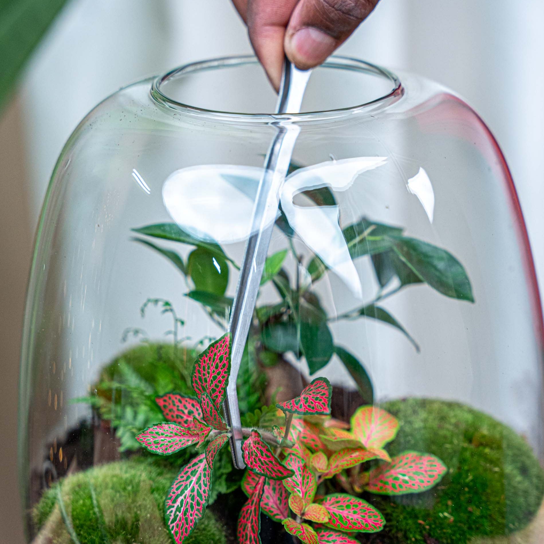 Extra Long Terrarium Tweezer - 26 Cm - Stainless Steel