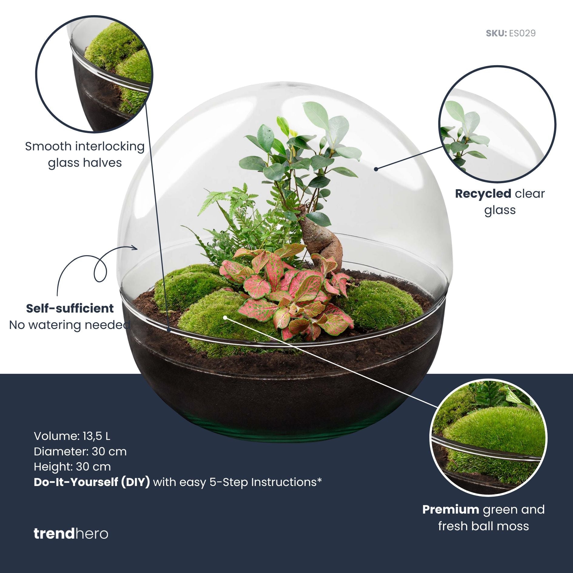 Dome Xl Bonsai - Two-Part Round Glass Terrarium - Bottle Garden Diy Kit - Ø 28 Cm ↑ 28 Cm