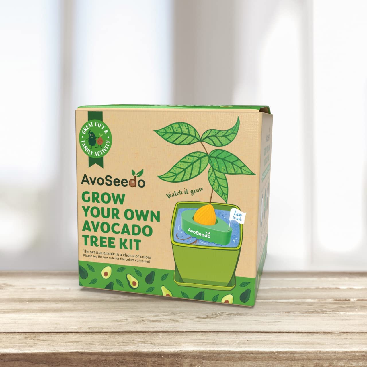 Avocado Kit – Grow Your Own Avocado!