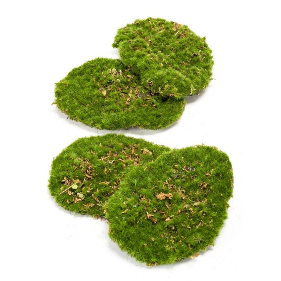 Moss Plate - Green Moss  – Set Of 4 - Artificial Moss