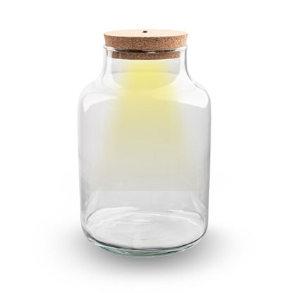 Terrarium Bottle 'Milky' With Led-Lighting - Closed Terrarium Ø 21 Cm ↑ 30 Cm
