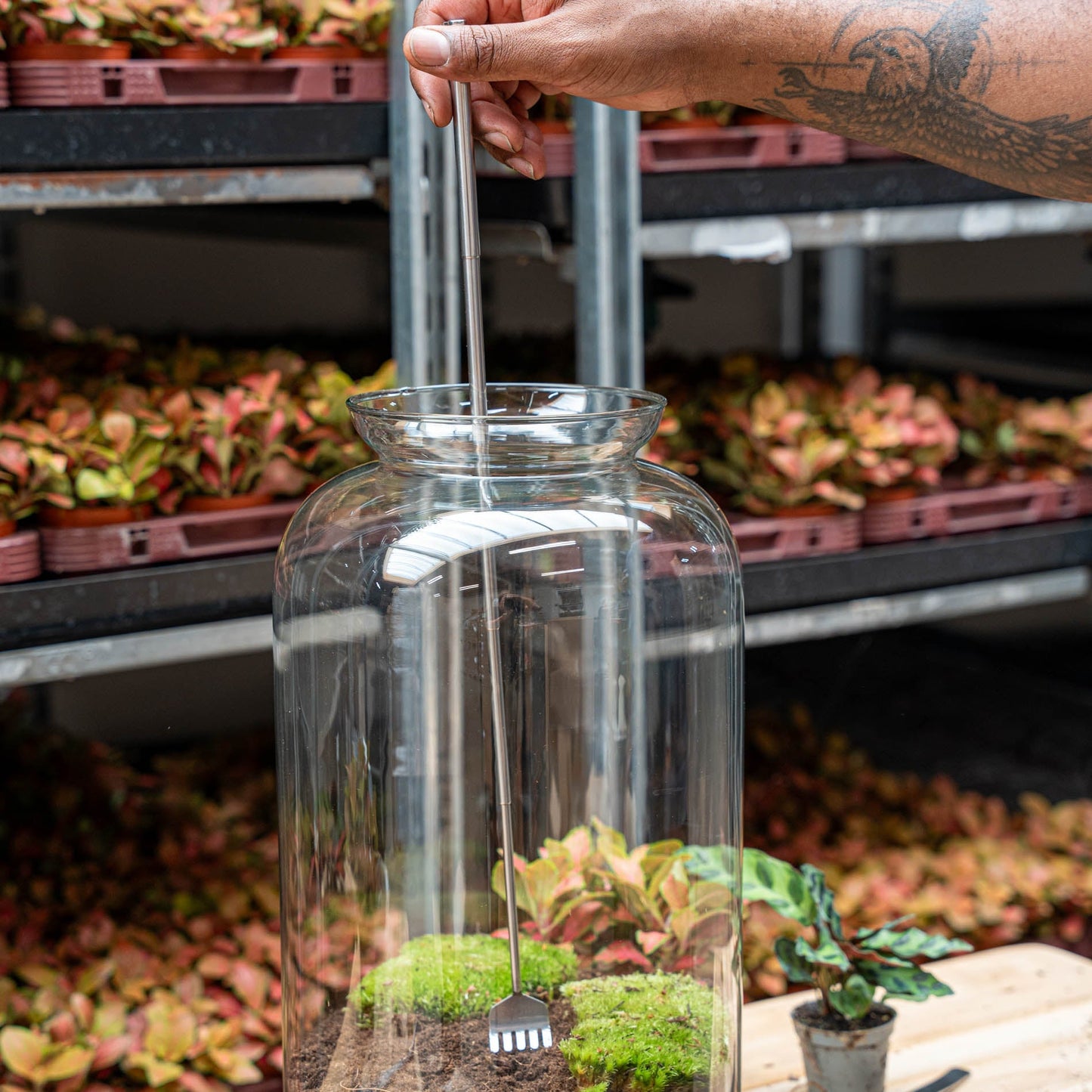 Terrarium Tool - Rake - 16-49 Cm - Telescopic - Stainless Steel