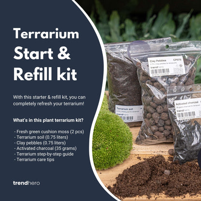 Terrarium Package  – Refill & Starter Package  – Diy Terrarium Kit – Size S/M