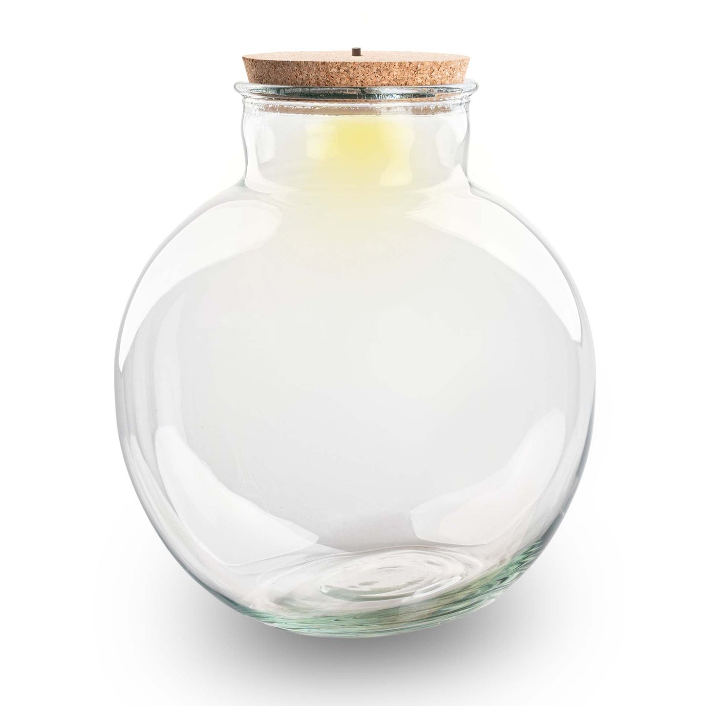 Terrarium Bottle 'Bolder Bob' - Incl. (Led) Cork - Closed Terrarium Ø 30 Cm ↑ 31 Cm