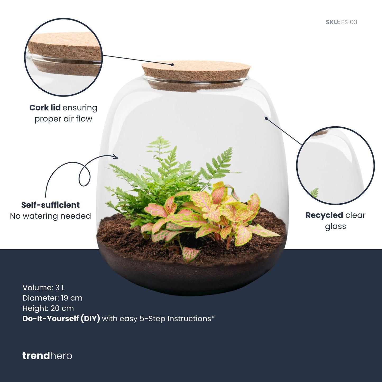 Emma Mini - Terrarium With Cork - Bottle Garden Diy Kit - Ø 19 Cm ↑ 20 Cm