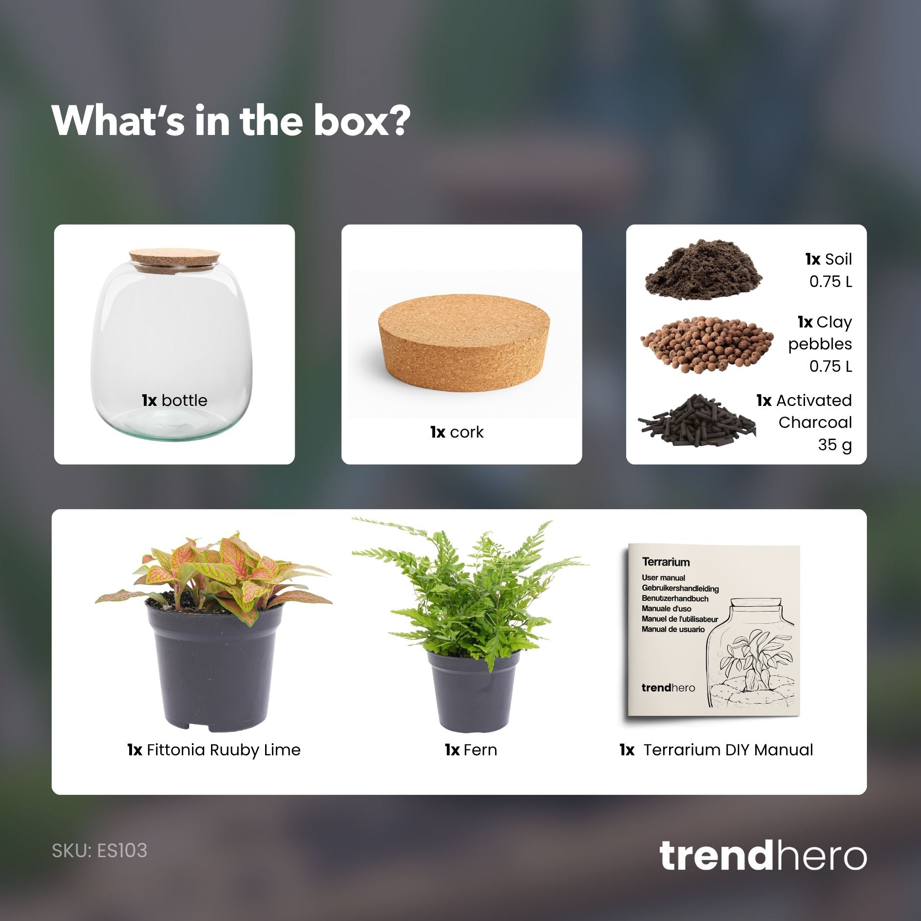 Emma Mini - Terrarium With Cork - Bottle Garden Diy Kit - Ø 19 Cm ↑ 20 Cm