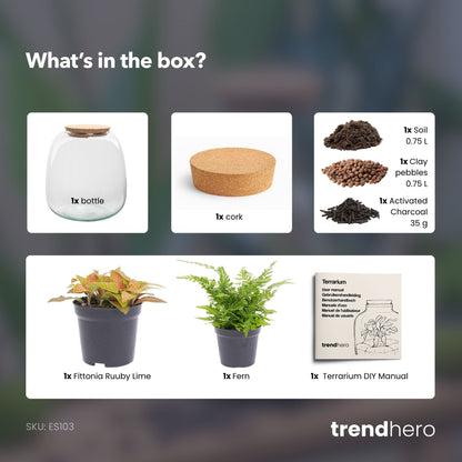 Emma Mini - Terrarium With Cork - Bottle Garden Diy Kit - Ø 19 Cm ↑ 20 Cm