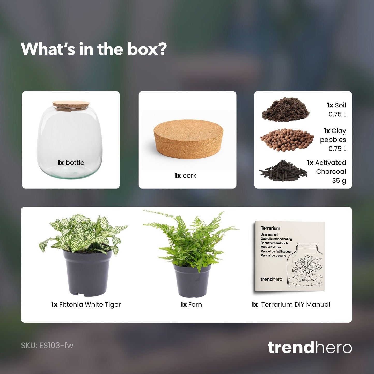 Emma Mini - Terrarium With Cork - Bottle Garden Diy Kit - Ø 19 Cm ↑ 20 Cm