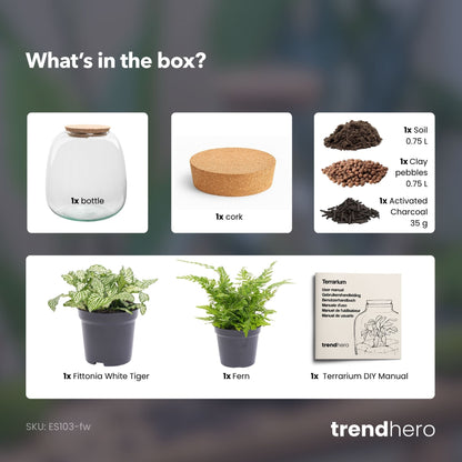 Emma Mini - Terrarium With Cork - Bottle Garden Diy Kit - Ø 19 Cm ↑ 20 Cm