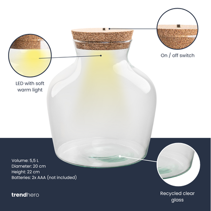 Terrarium Bottle 'Little Joe' - Incl. Led Cork - Closed Terrarium Ø 20 Cm ↑ 22 Cm