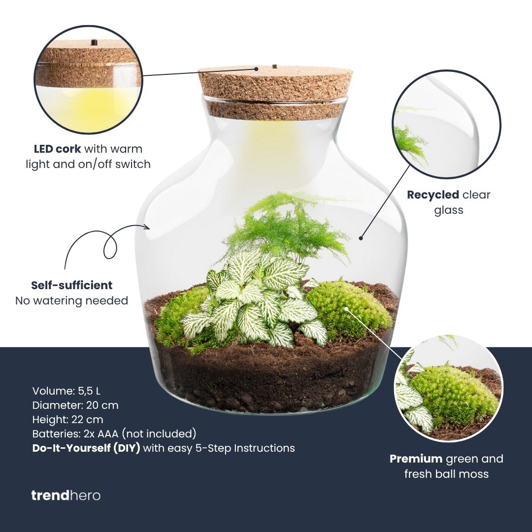 Little Joe - Terrarium With Light - Bottle Garden Diy Kit - Ø 20 Cm ↑ 22 Cm
