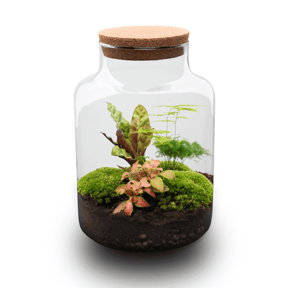 Milky - Terrarium - Bottle Garden Diy Kit - Ø 21 Cm ↑ 30 Cm