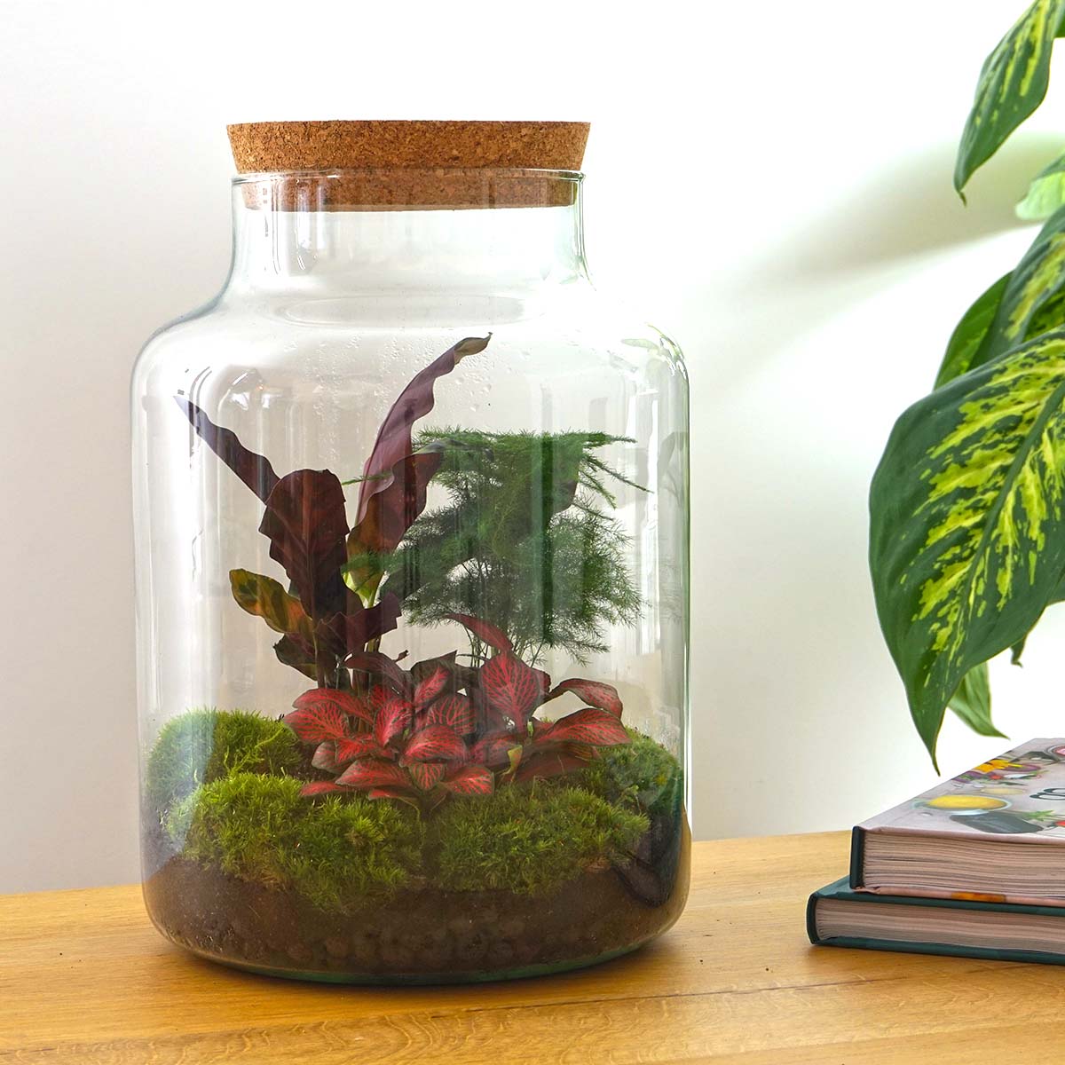 Milky - Terrarium - Bottle Garden Diy Kit - Ø 21 Cm ↑ 30 Cm