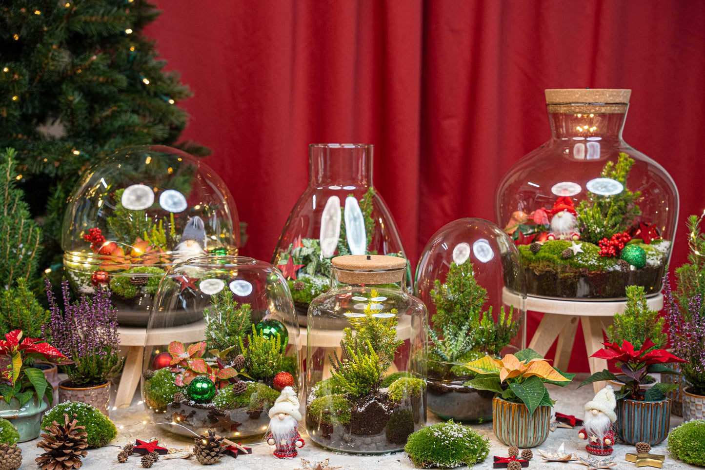 Tinsel Winter Terrarium - Bottle Garden Diy Kit - Ø 19 Cm ↑ 20 Cm