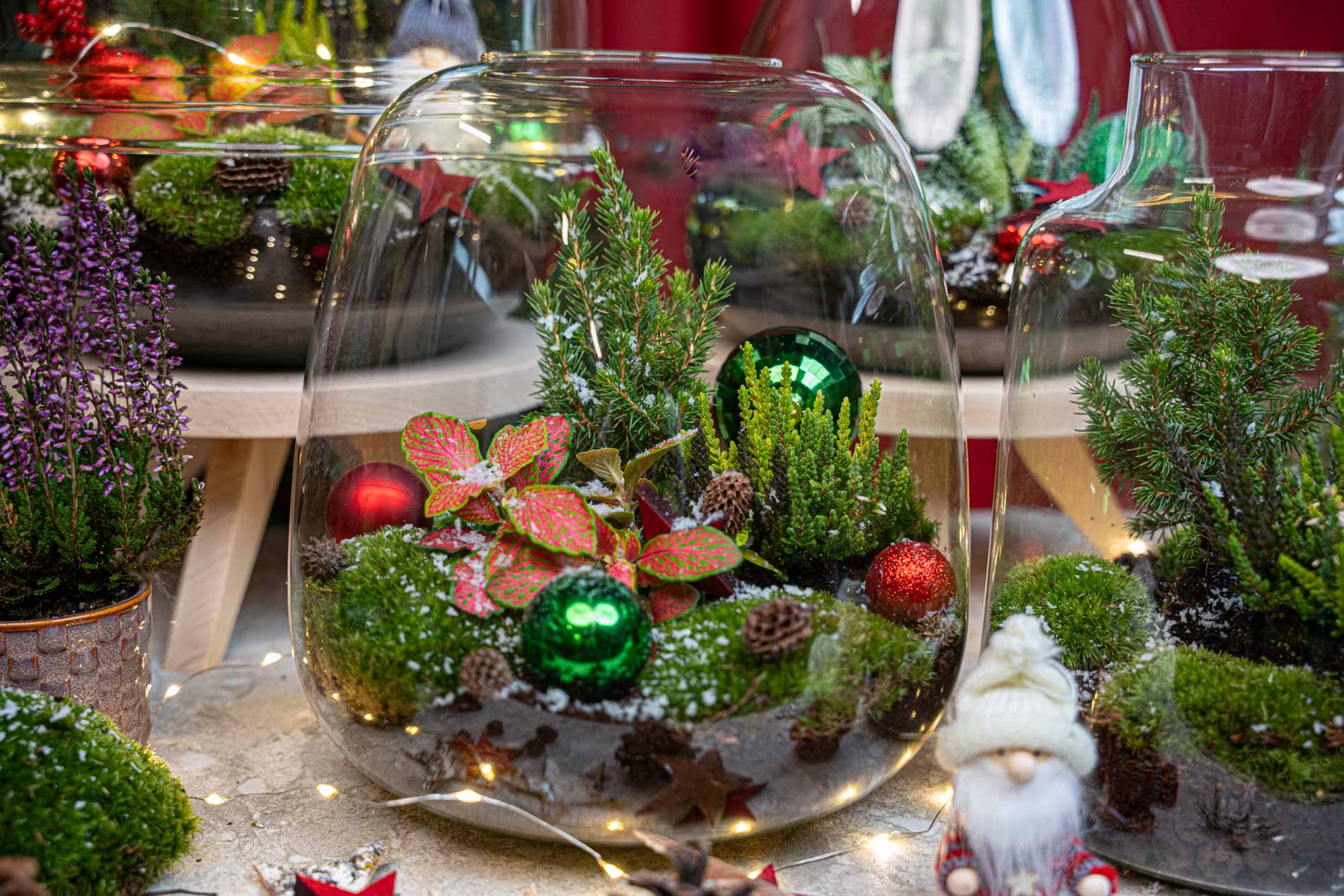 Berry Christmas Terrarium - Bottle Garden Diy Kit - Ø 19 Cm ↑ 20 Cm