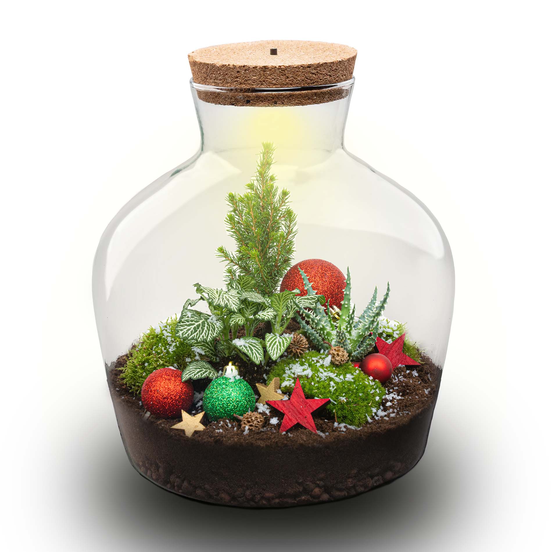 Holly Christmas Terrarium - Bottle Garden Diy Kit - Ø 29 Cm ↑ 30