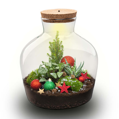 Holly Christmas Terrarium - Bottle Garden Diy Kit - Ø 29 Cm ↑ 30