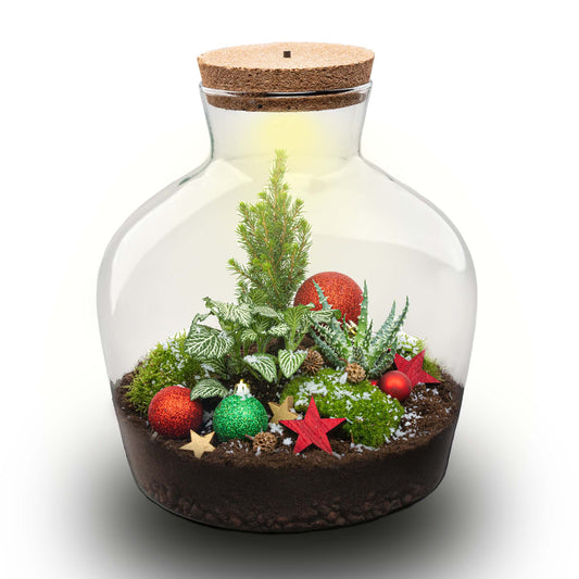 Holly Christmas Terrarium - Bottle Garden Diy Kit - Ø 29 Cm ↑ 30