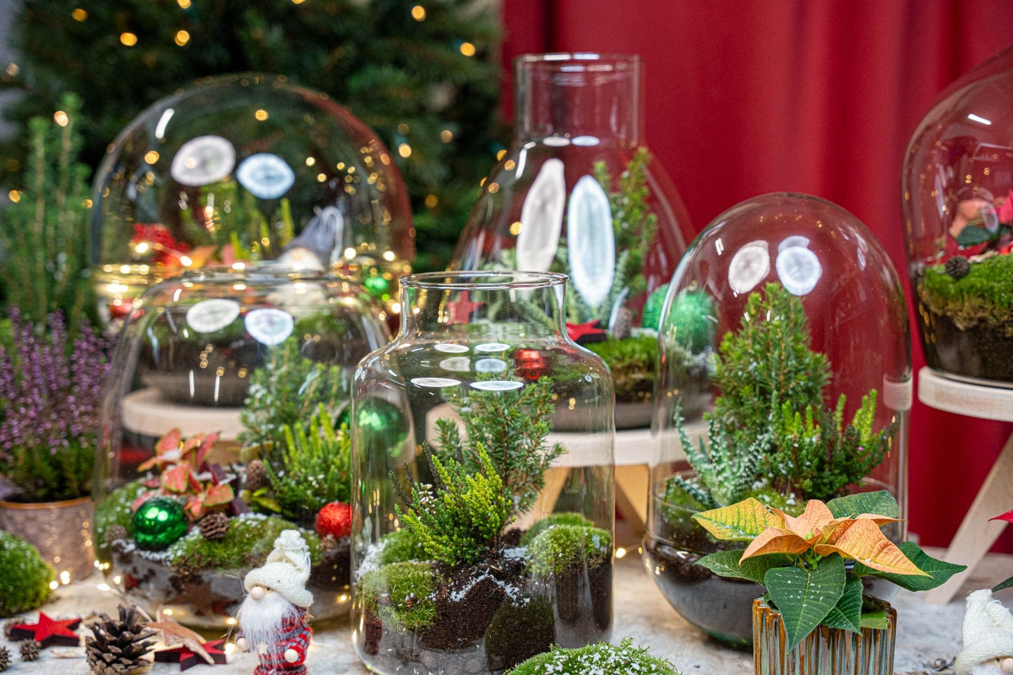 Jingle Christmas Terrarium - Bottle Garden Diy Kit - Ø 25 Cm ↑ 26,5 Cm