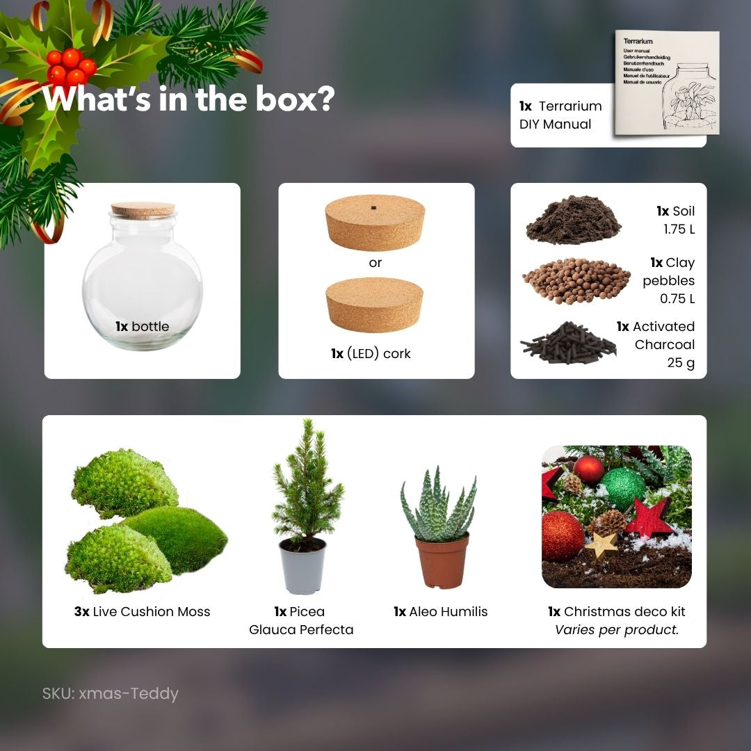 Jingle Christmas Terrarium - Bottle Garden Diy Kit - Ø 25 Cm ↑ 26,5 Cm