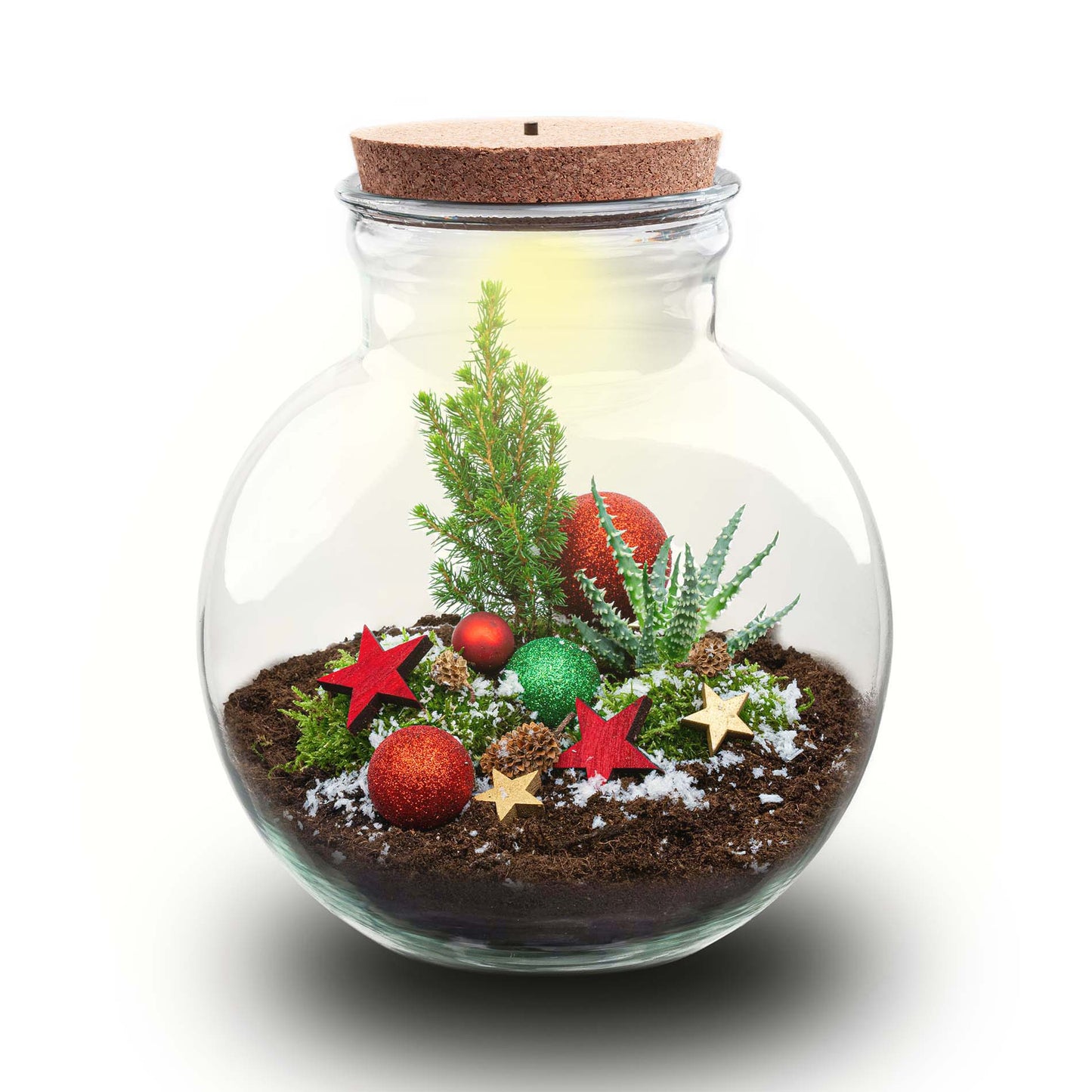 Jingle Christmas Terrarium - Bottle Garden Diy Kit - Ø 25 Cm ↑ 26,5 Cm