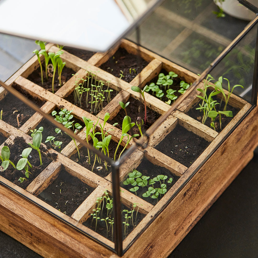 Hochwertiges Anzuchthaus mit 16 Fächern