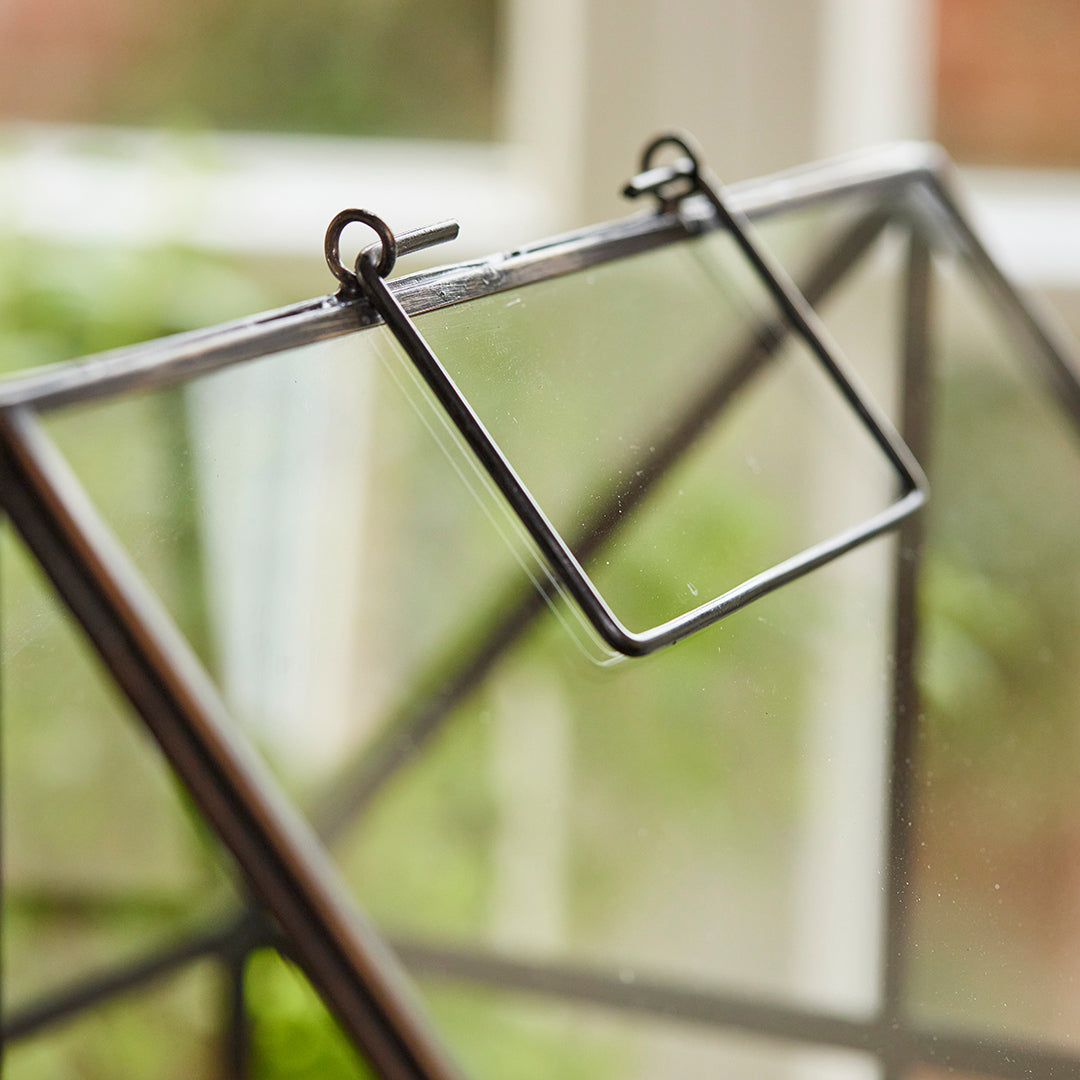 Hochwertiges Anzucht- und Gewächshaus