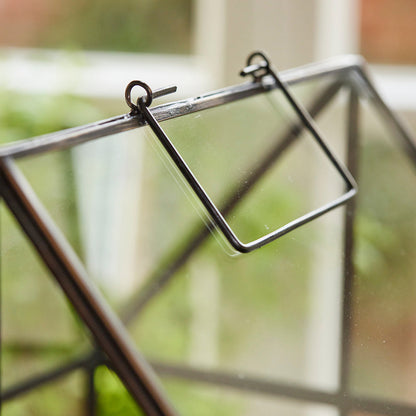 Hochwertiges Anzucht- und Gewächshaus