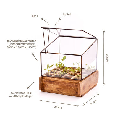 Hochwertiges Anzuchthaus mit 16 Fächern