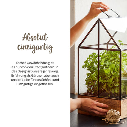 Hochwertiges Anzucht- und Gewächshaus